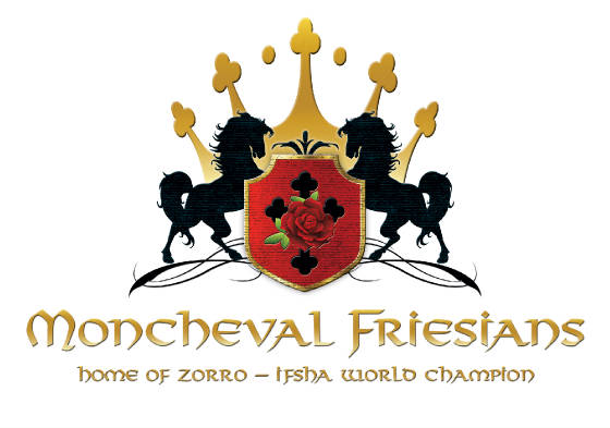 _moncheval_logo.jpg.w560h393[1]